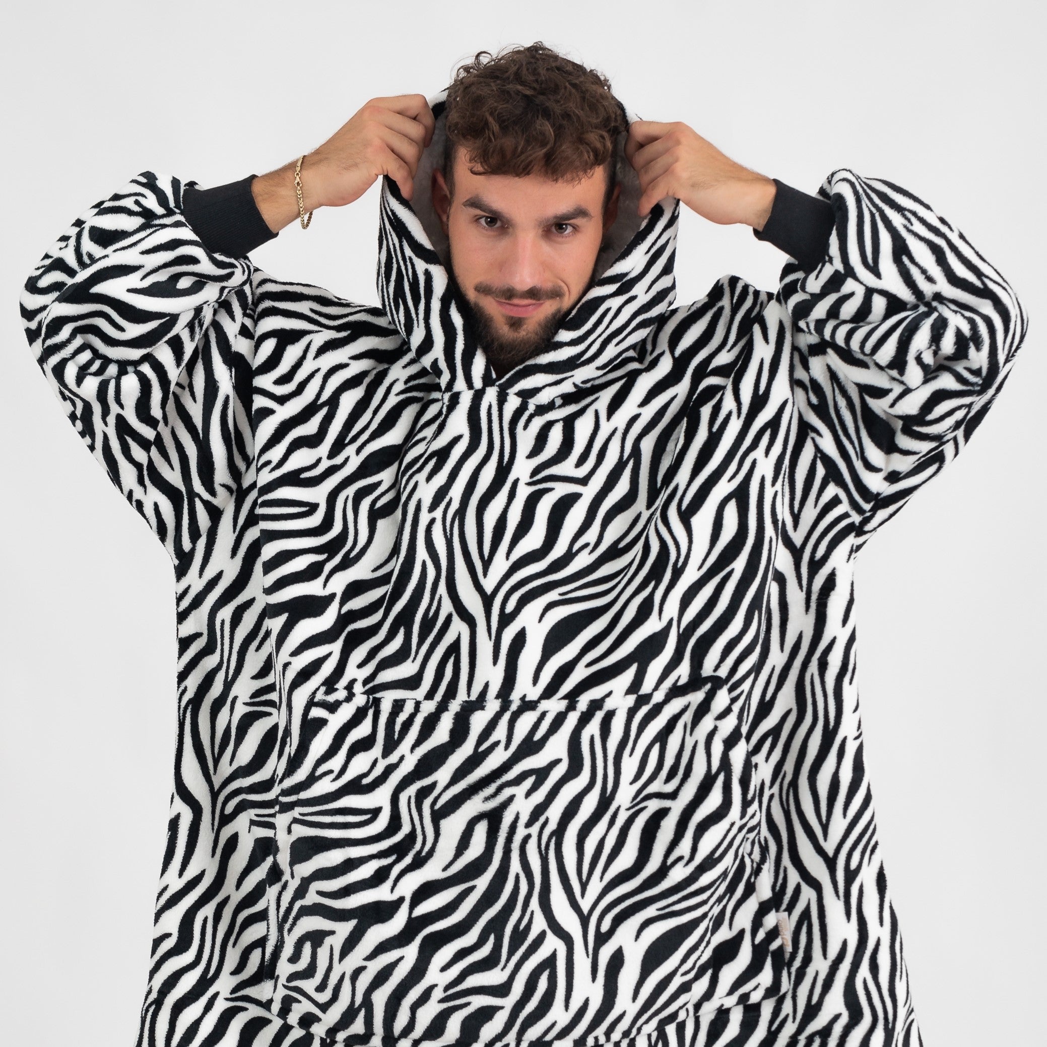 Snivo Zebra